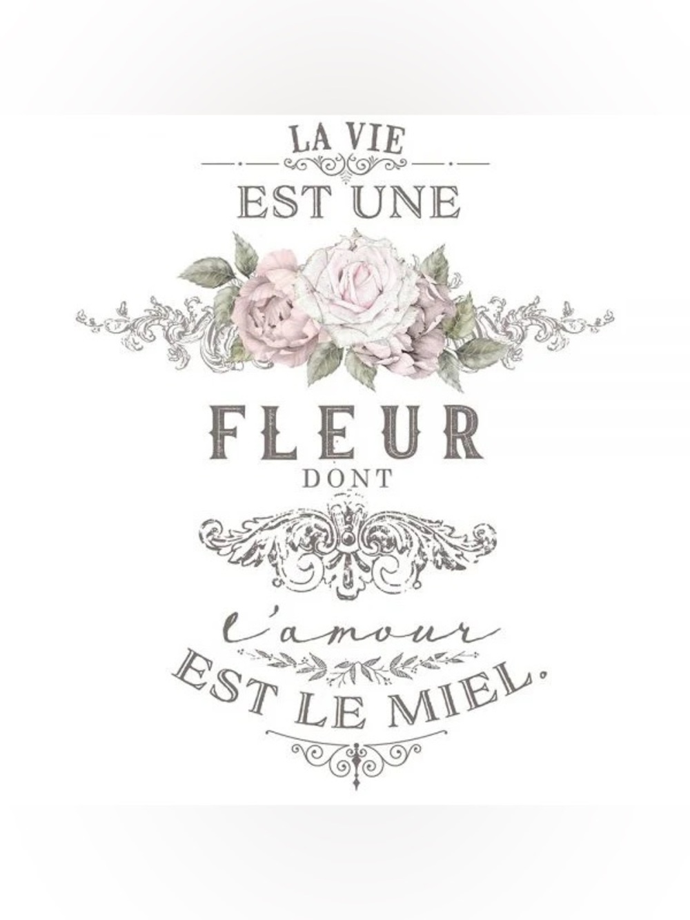 Redesign with Prima Decor Transfer | L’AMOUR EST LE MIEL | RARE | 27” x 36”